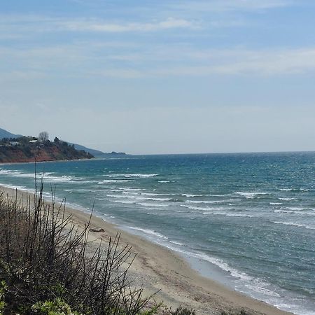 Armonia Seaside Lofts Daire Marónia Dış mekan fotoğraf