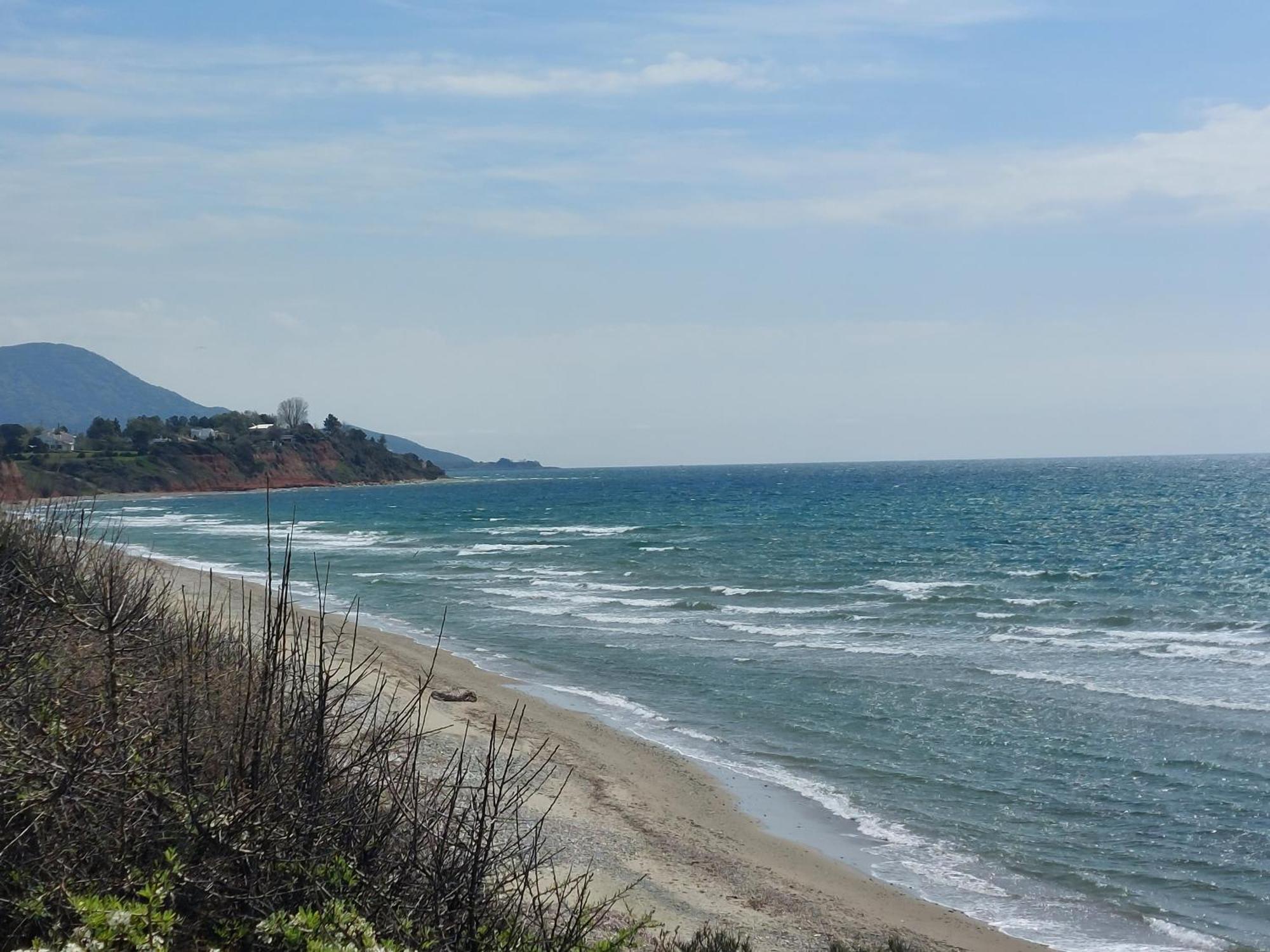 Armonia Seaside Lofts Daire Marónia Dış mekan fotoğraf